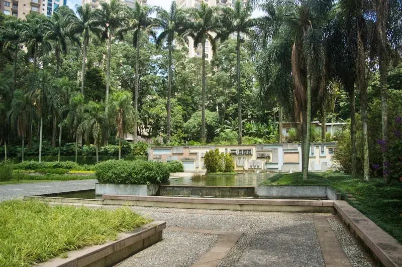 Espelho d'água e palmeiras no Parque Burle Marx, na Vila Andrade